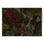 Colourful flower camouflage pattern cards