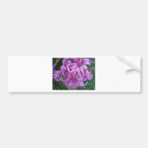 Colourful flowers bumper stickers