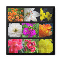 colourful garden flowers magnets