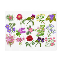 Colourful Garden Flowers Pocket Calendar