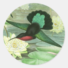 Colourful Gould Hummingbird Waterlily Stickers
