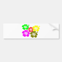colourful hibiscus flowers bumper sticker