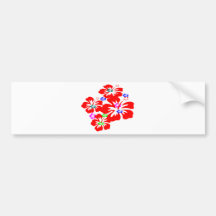 colourful hibiscus flowers bumper stickers