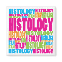 Colourful Histology