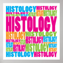 Colourful Histology