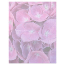 Colourful Hydrangea Flowers