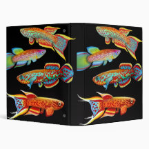 Colourful Killifish Avery Binder