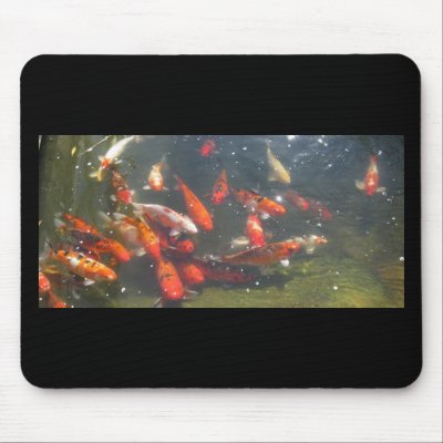 Colourful Koi Fish In a Pond Mouse Pad by all_creatures