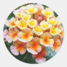 Colourful Lantana Sticker