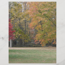 Colourful leaves on the trees flyer