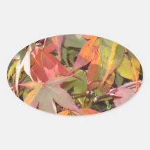 Colourful Leaves Stickers