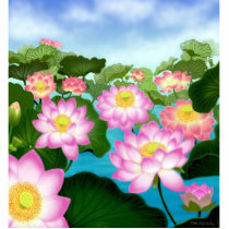 Colourful Lotus Flowers