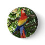 Colourful Macaw Parrot