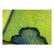 Colourful Mossy Twig Invites