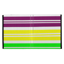 Colourful Neon Rainbow Stripes Vibrant Bold Patter iPad Folio Cover