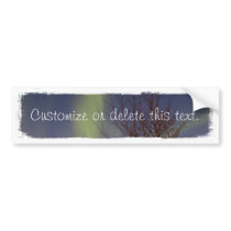Colourful Northern Sky; Customizable Bumper Sticker