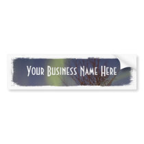 Colourful Northern Sky; Promotional Bumper Stickers