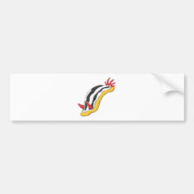 Colourful Nudibranch Bumper Stickers
