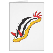 Colourful Nudibranch Greeting Cards