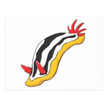 Colourful Nudibranch Postcards