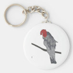 colourful parrot keychains
