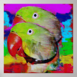 Colourful Parrots Posters