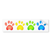 Colourful Paws