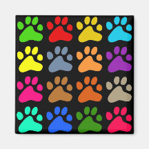Colourful Paws Magnet