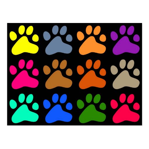Colourful Paws Post Cards
