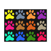 Colourful Paws