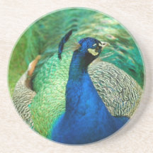 Colourful Peacock Coaster