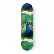 Colourful Peacock Skateboard