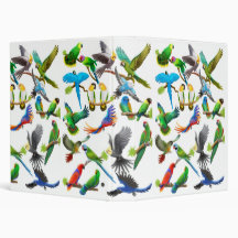Colourful Pet Parrots Avery Binder