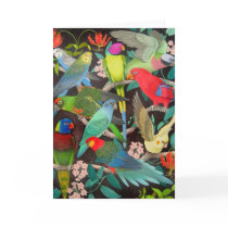 Colourful Pet Parrots of the World Card