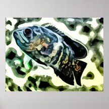 colourful Rainbow fish painting. Posters