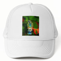 Colourful Relaxing Hummingbird