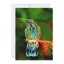 Colourful Relaxing Hummingbird