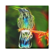 Colourful Relaxing Hummingbird