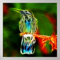 Colourful Relaxing Hummingbird