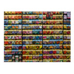 Colourful Seed Packet Postcard