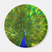Colourful Showoff Fridge Magnet