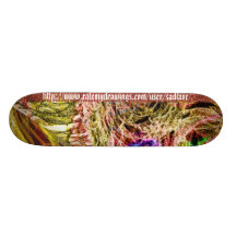 Colourful Skate Boards