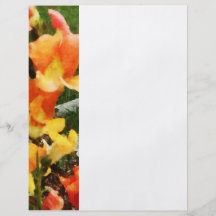 Colourful Snapdragons Full Color Flyer