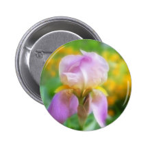 Colourful Spring Iris Pinback Button