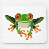 Colourful Tree Frog