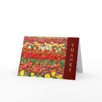 Colourful Tulip Flowers Field Thanks Cards