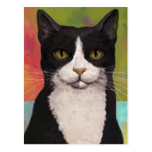 Colourful Tuxedo Cat Post Cards