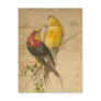 Colourful Vintage Birds On Vintage Ledger Paper