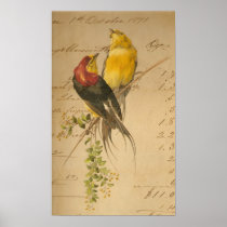 Colourful Vintage Birds On Vintage Ledger Paper