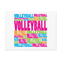 Colourful Volleyball
